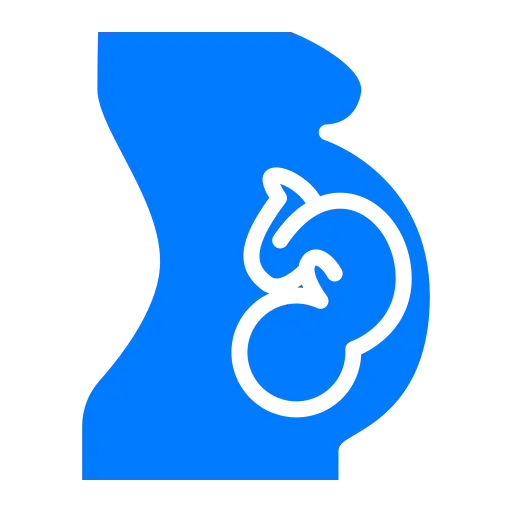 Pregnancy due date calculator to estimate expected delivery date